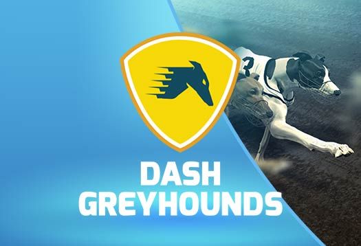 Dash Greyhounds