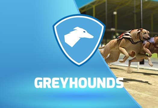 Virtual Greyhounds