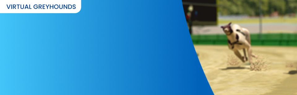 Greyhound Betting Odds | Betfred