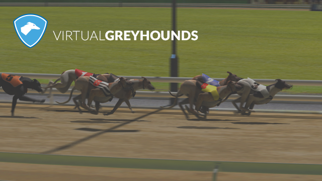 Virtual Greyhound Racing | Virtual Greyhound Betting | Betfred